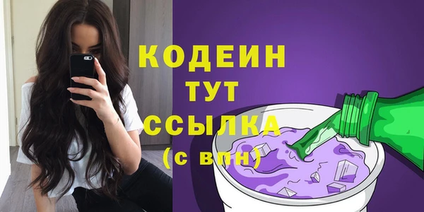 твердый Вяземский