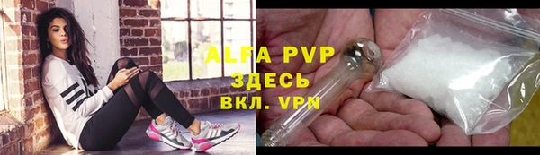твердый Вяземский