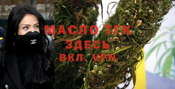 твердый Вяземский