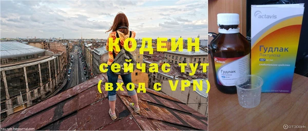 твердый Вяземский