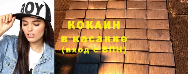 твердый Вяземский