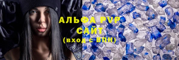 твердый Вяземский