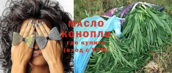 твердый Вяземский