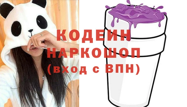 твердый Вяземский