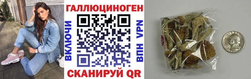 купить наркоту  MEGA как зайти  Галлюциногенные грибы прущие грибы  Курск 
